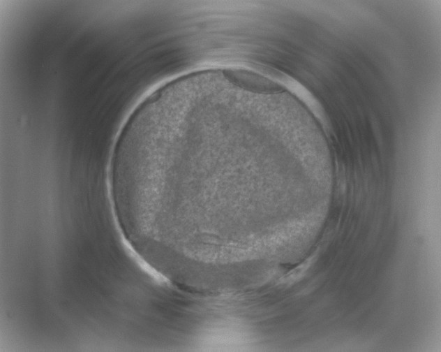 X0000068280958200605121908