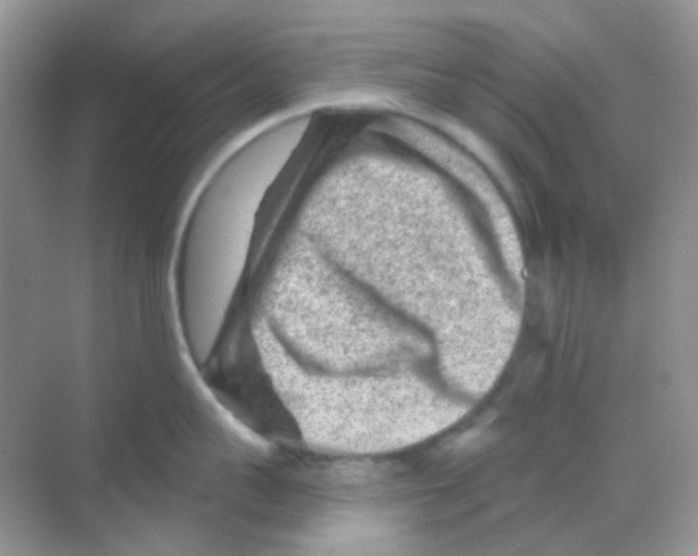 X0000068280959200605121908