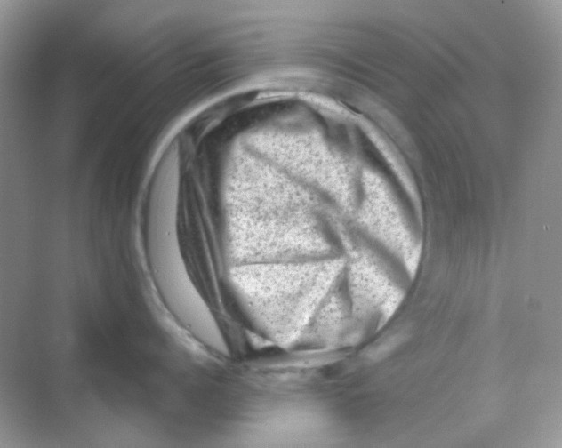 X0000068280960200605121909