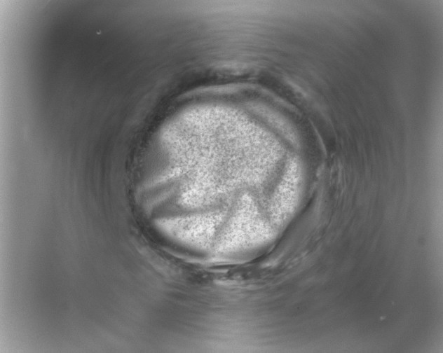 X0000068280961200605121908