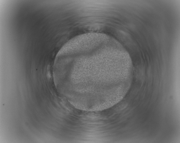 X0000068280962200605121908