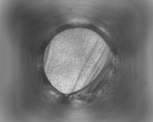 X0000068280965200605121908