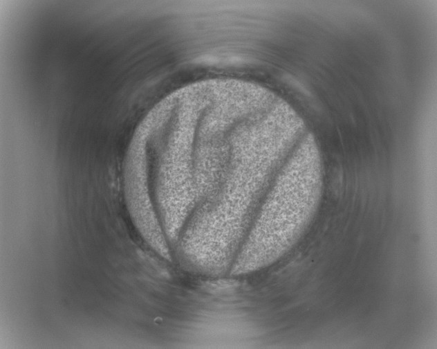 X0000068280966200605121908