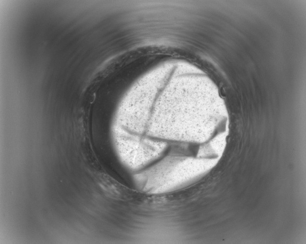 X0000068280968200605121908