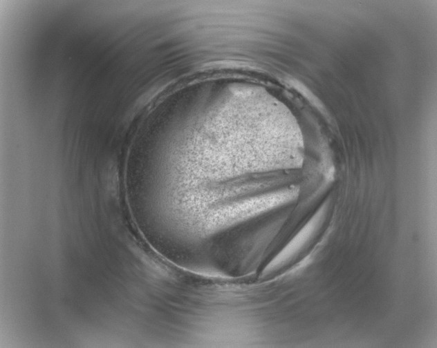 X0000068280969200605121908