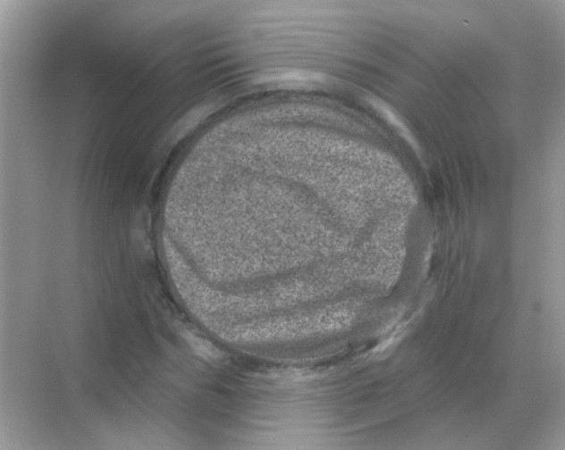 X0000068280970200605121908