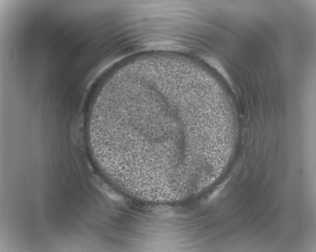 X0000068280971200605121908