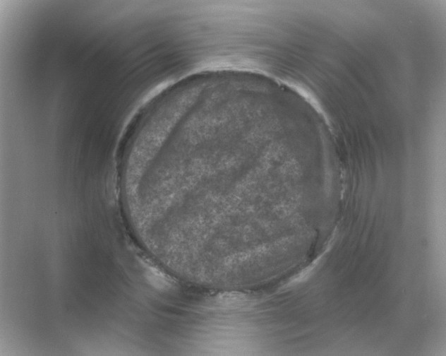 X0000068280974200605121907