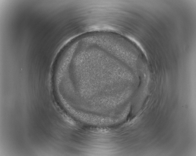 X0000068280975200605121907