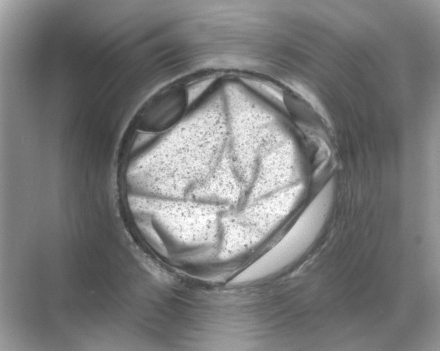 X0000068280976200605121907