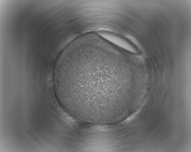 X0000068280977200605121907