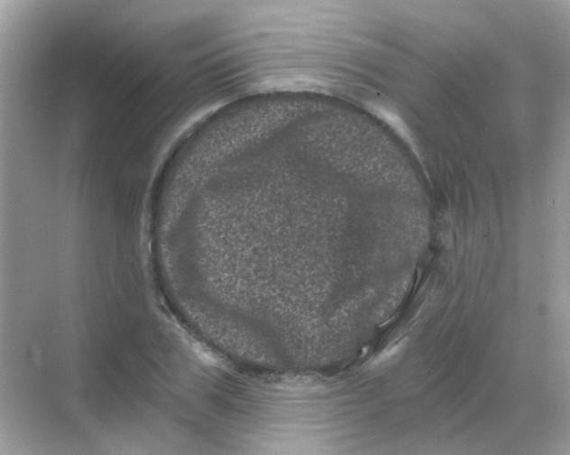 X0000068280979200605121907