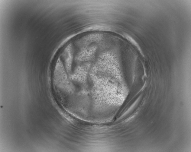 X0000068280981200605121907