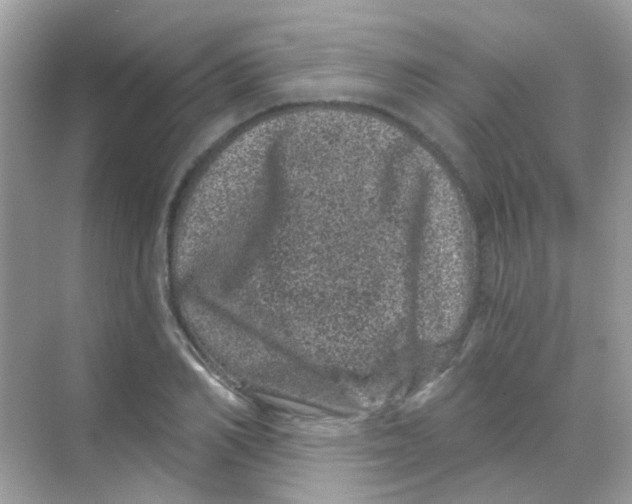 X0000068280982200605121907