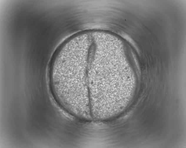 X0000068280983200605121907