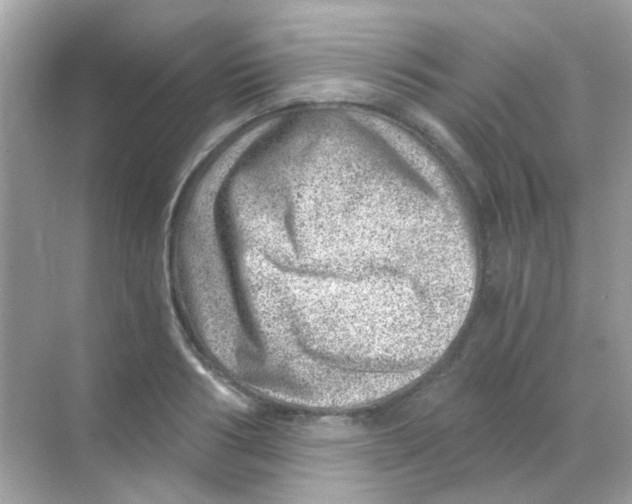 X0000068280986200605121907