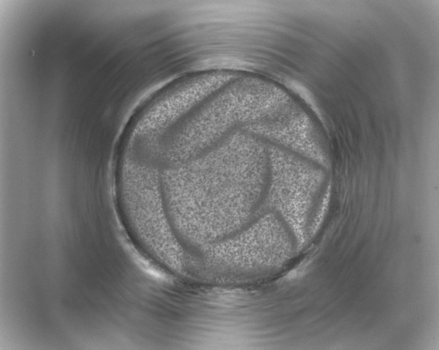 X0000068280987200605121907