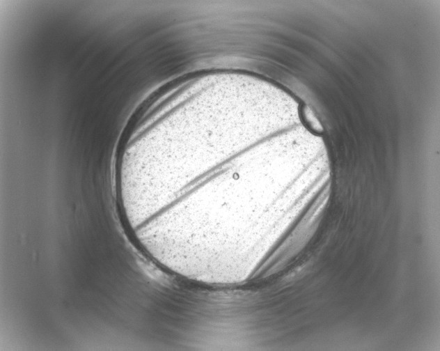 X0000068280988200605121907