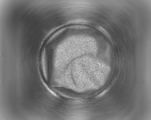 X0000068280989200605121907