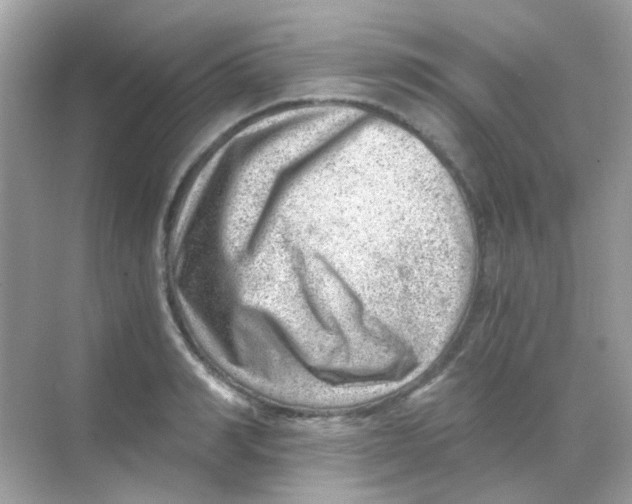 X0000068280990200605121907