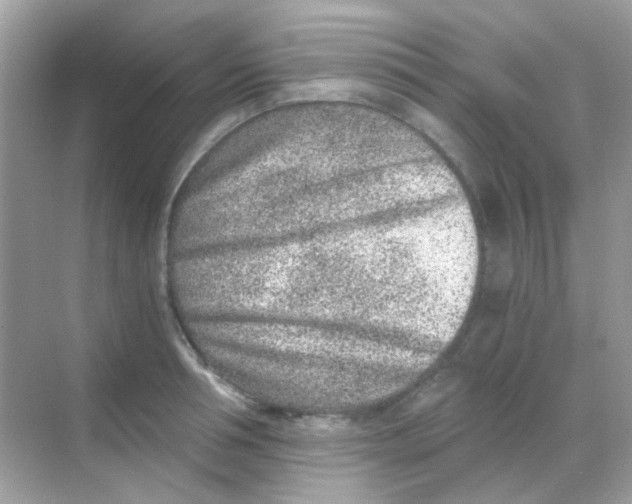 X0000068280994200605121907