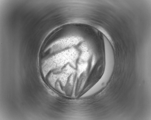 X0000068280996200605121907