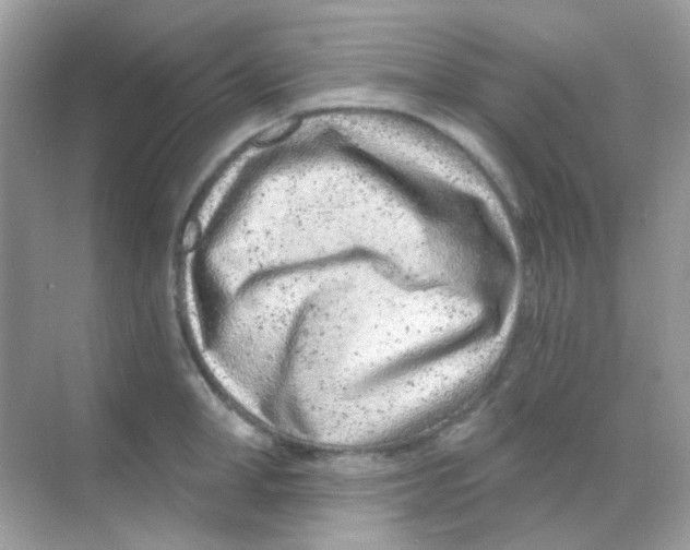 X0000068280998200605121907