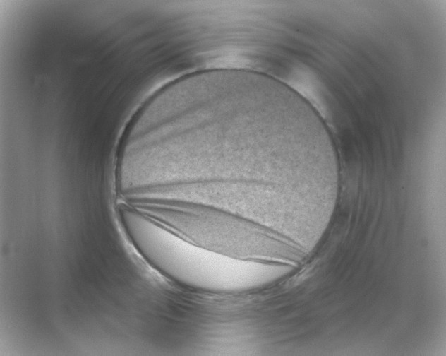 X0000068281000200605121907