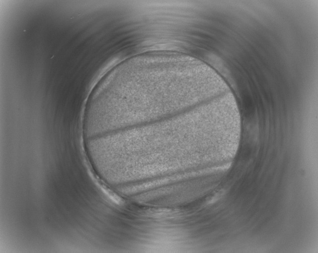 X0000068281002200605121907