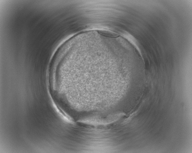 X0000068281003200605121907