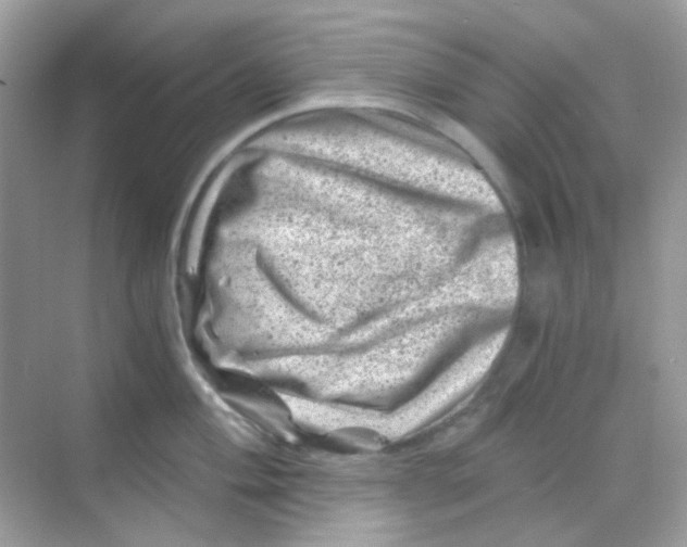 X0000068281004200605121907