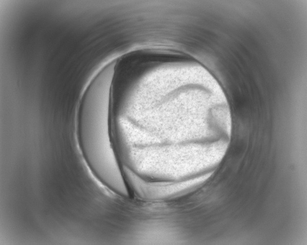 X0000068281006200605121907