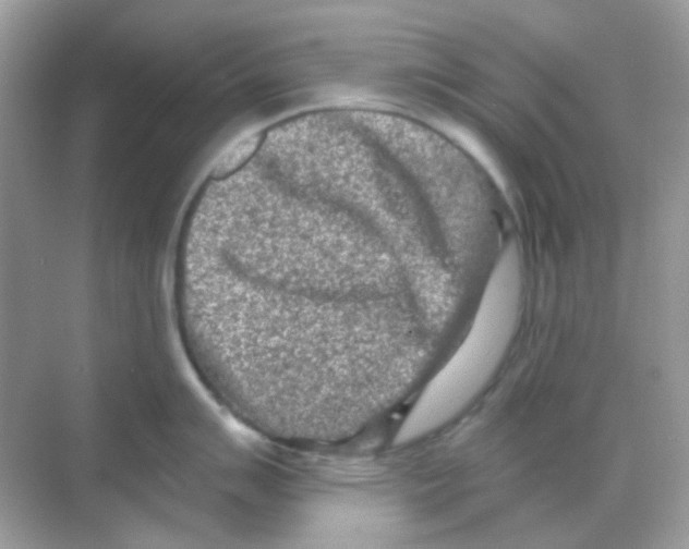 X0000068281007200605121907