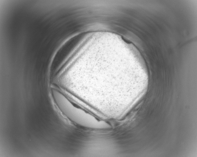 X0000068281008200605121907