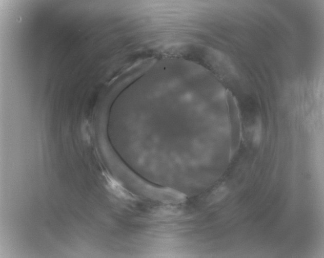 X0000068281010200605121906