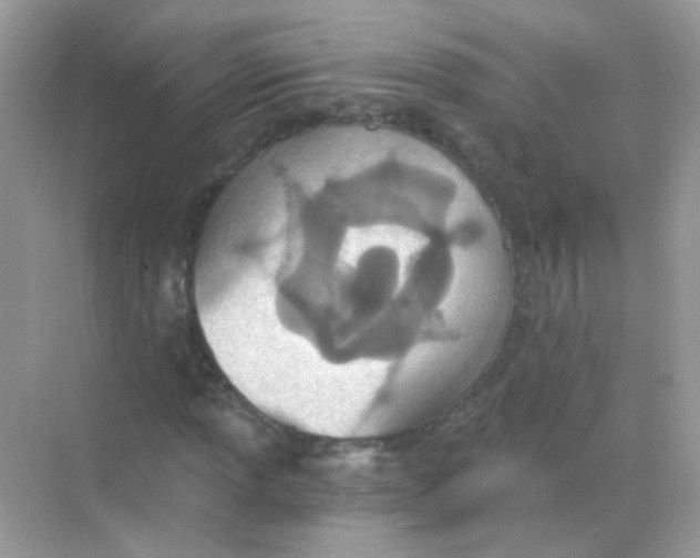 X0000068281013200605121906