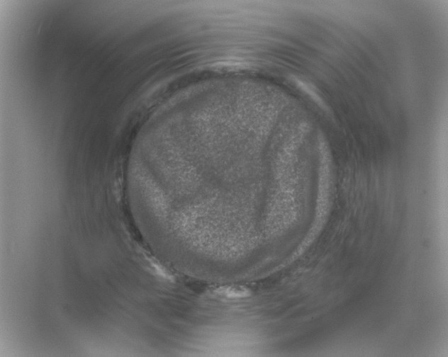 X0000068281015200605121906