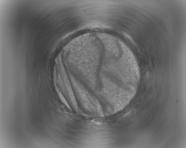 X0000068281016200605121906