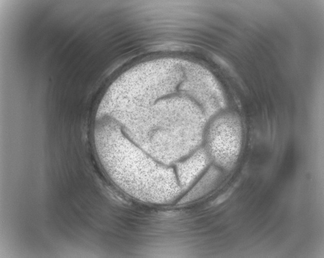 X0000068281017200605121906