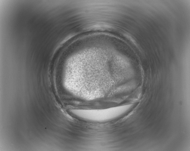 X0000068281018200605121906