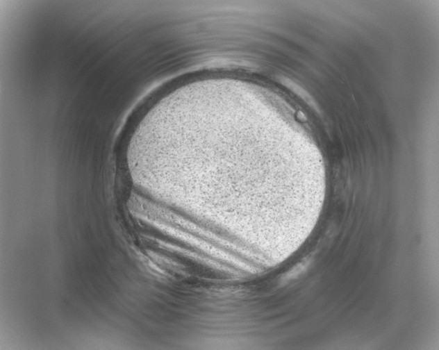 X0000068281021200605121906