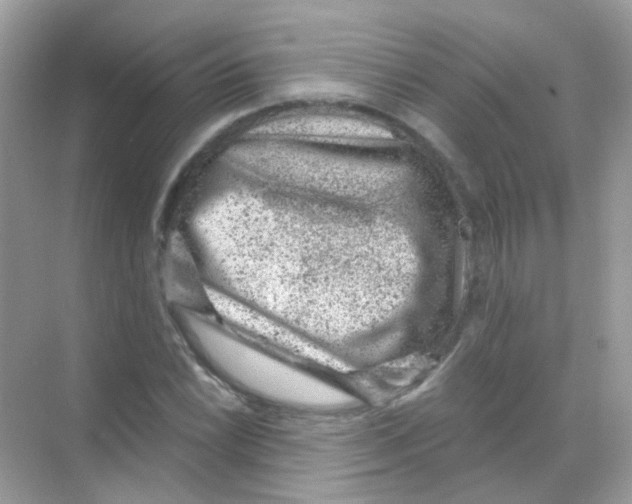 X0000068281022200605121906