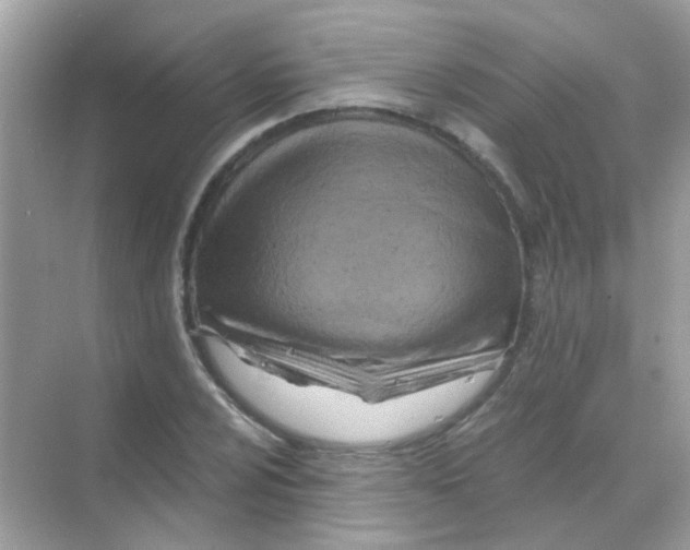 X0000068281024200605121906