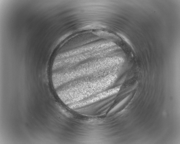 X0000068281026200605121906