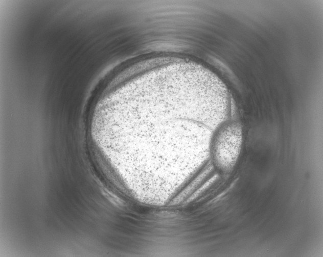 X0000068281027200605121906