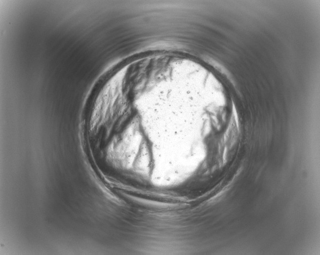 X0000068281029200605121906