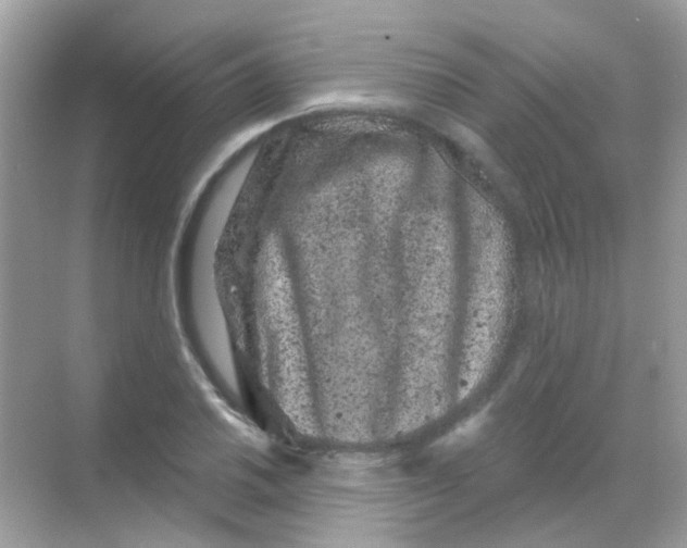 X0000068281030200605121906