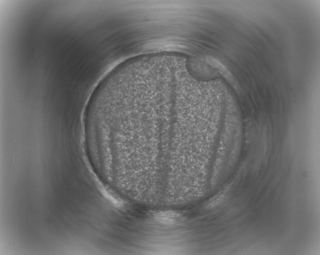 X0000068281031200605121906