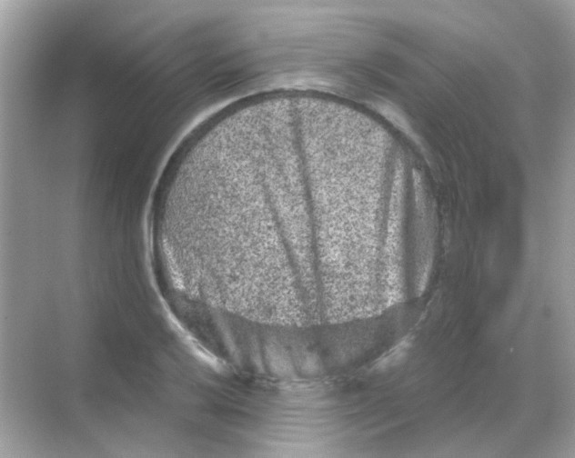 X0000068281032200605121906