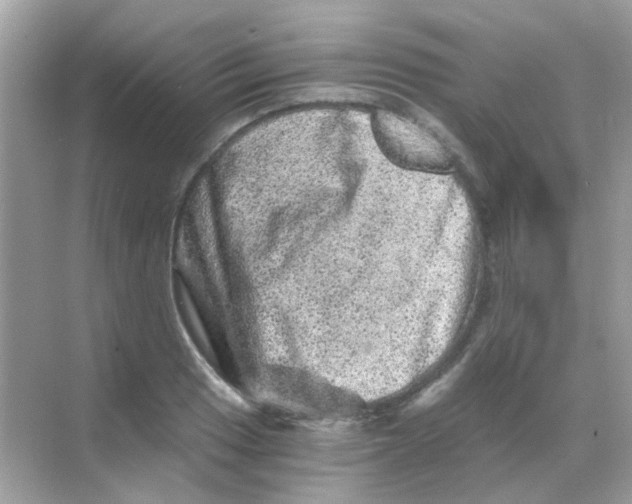 X0000068281033200605121906